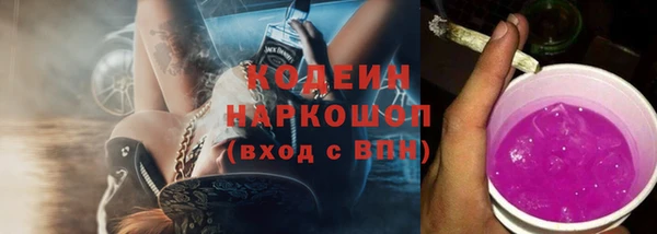 индика Абинск