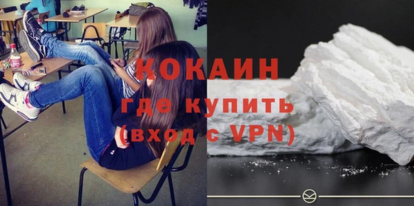 индика Абинск